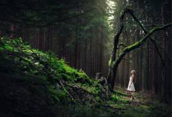 Záznam není přeložen